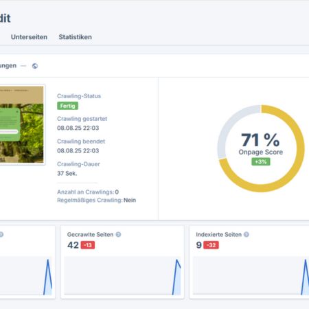 Crawling-Ergebnis  aus Seo-Analyse